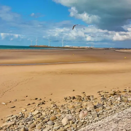 La Côte Sauvage - Mh Climatisé 2018 - P30 - * Le Portel